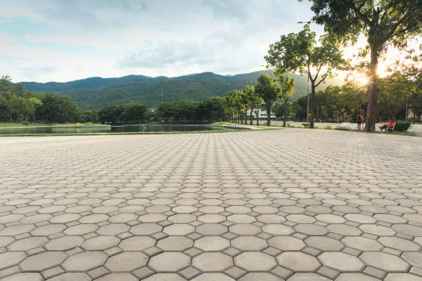 Best Residential Driveway Paver Services  in Holtsville, NY